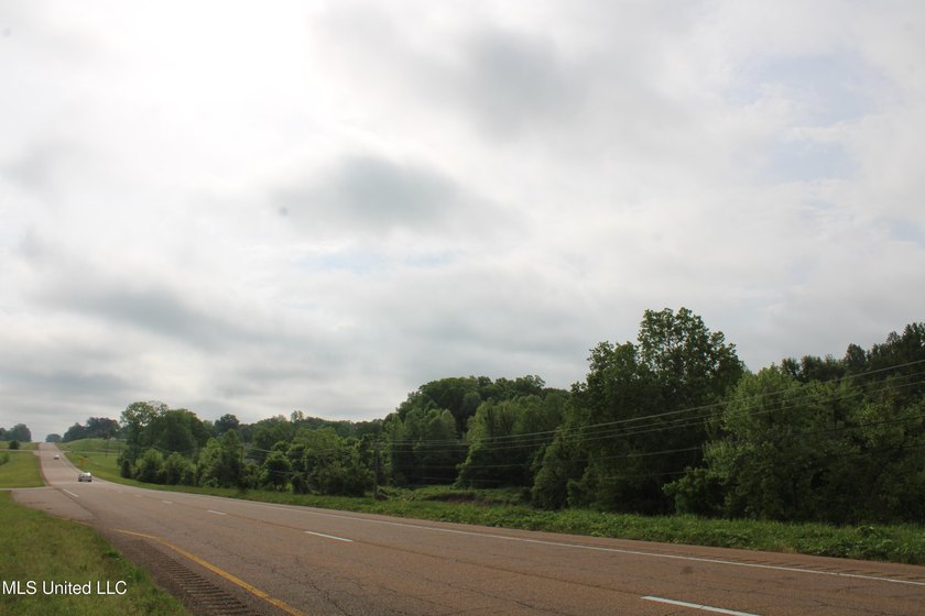 93+/- acres with long frontage on Hwy 302 (Goodman Rd) and also - photo 34