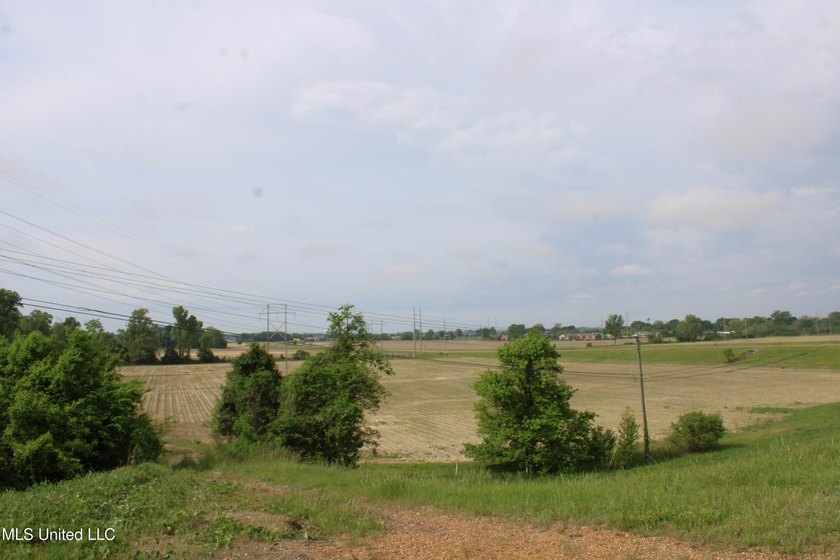 93+/- acres with long frontage on Hwy 302 (Goodman Rd) and also - photo 35