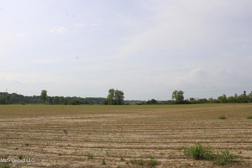 93+/- acres with long frontage on Hwy 302 (Goodman Rd) and also - photo 37
