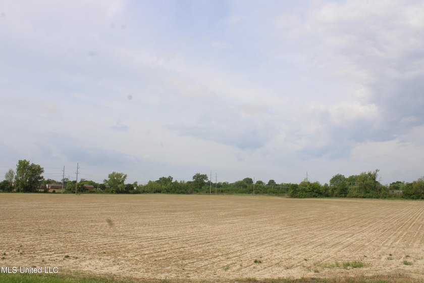 93+/- acres with long frontage on Hwy 302 (Goodman Rd) and also - photo 41
