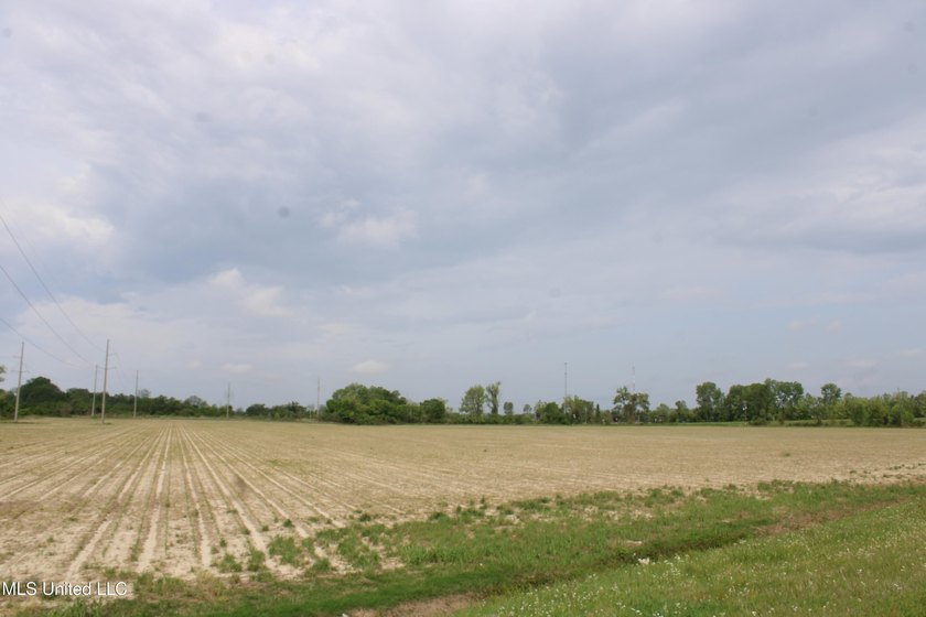 93+/- acres with long frontage on Hwy 302 (Goodman Rd) and also - photo 43