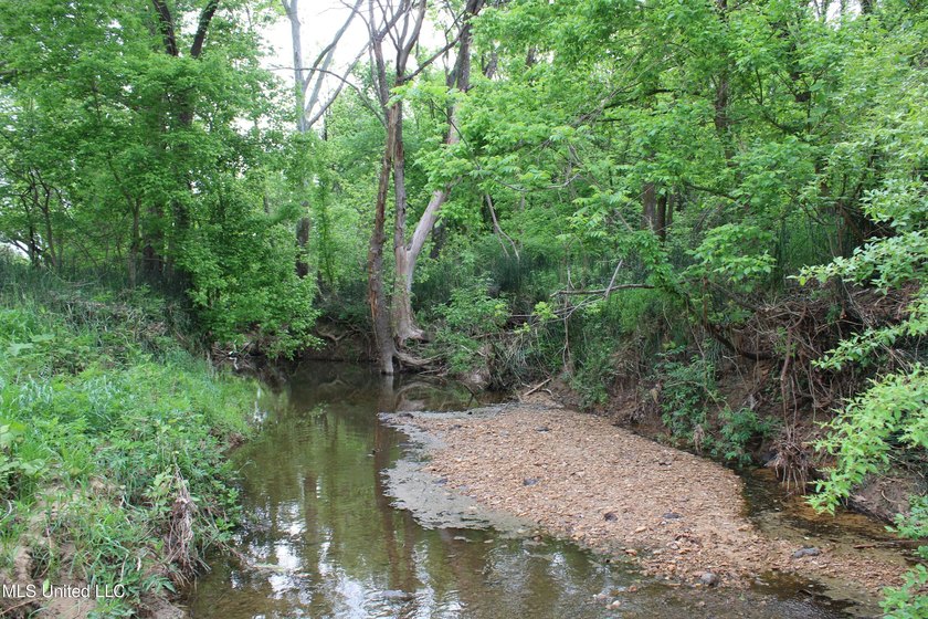 93+/- acres with long frontage on Hwy 302 (Goodman Rd) and also - photo 52