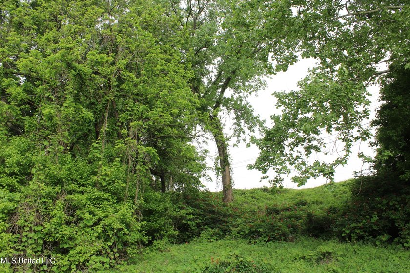 93+/- acres with long frontage on Hwy 302 (Goodman Rd) and also - photo 54