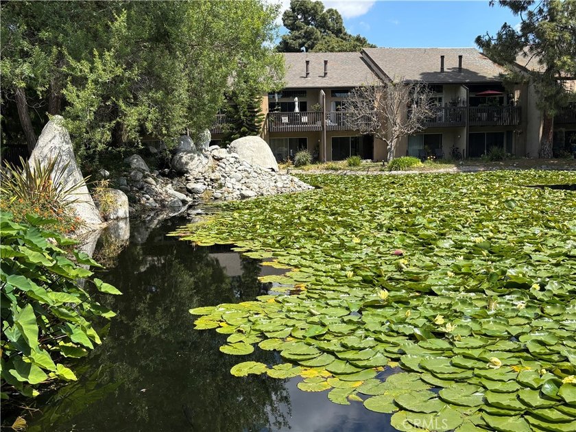 Welcome to the the El Dorado Lakes! Located in desirable East - photo 27