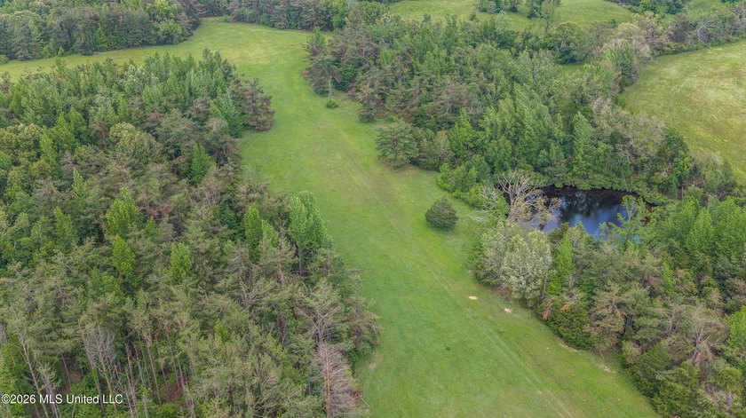 Discover an exceptional 169.9+/- acre tract just minutes from - photo 13