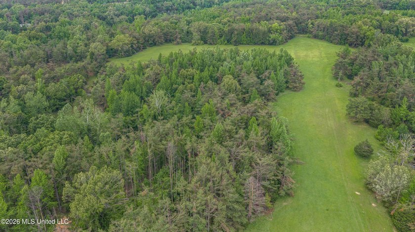 Discover an exceptional 169.9+/- acre tract just minutes from - photo 14
