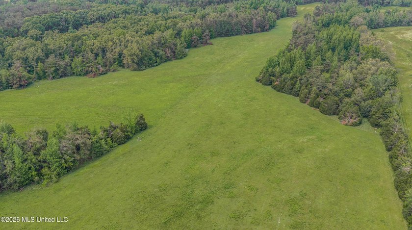 Discover an exceptional 169.9+/- acre tract just minutes from - photo 18