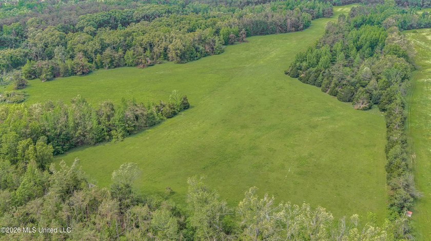 Discover an exceptional 169.9+/- acre tract just minutes from - photo 19