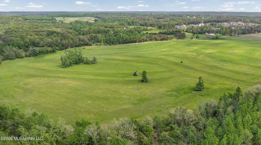 Discover an exceptional 169.9+/- acre tract just minutes from - photo 21