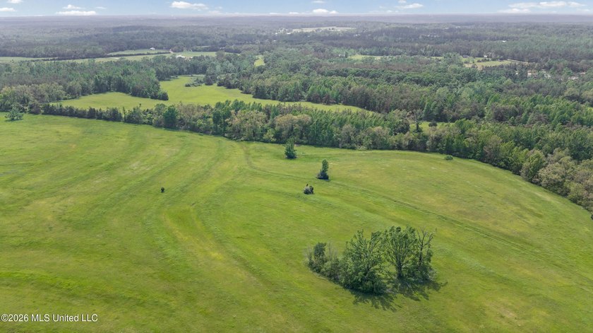 Discover an exceptional 169.9+/- acre tract just minutes from - photo 25