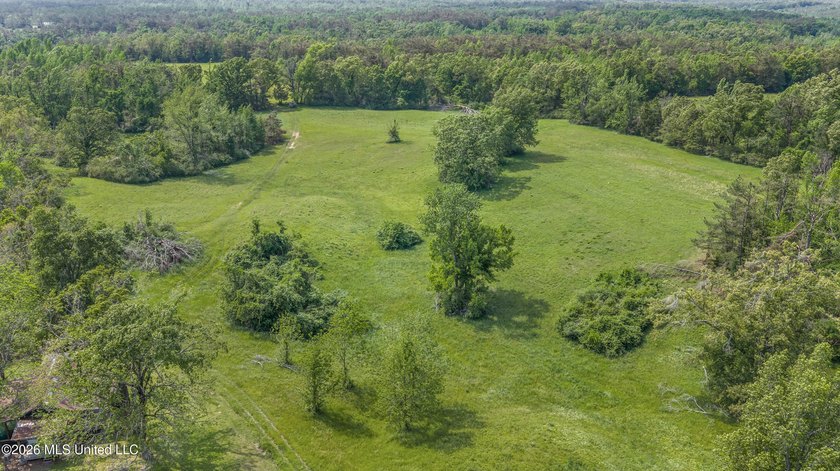 Discover an exceptional 169.9+/- acre tract just minutes from - photo 27