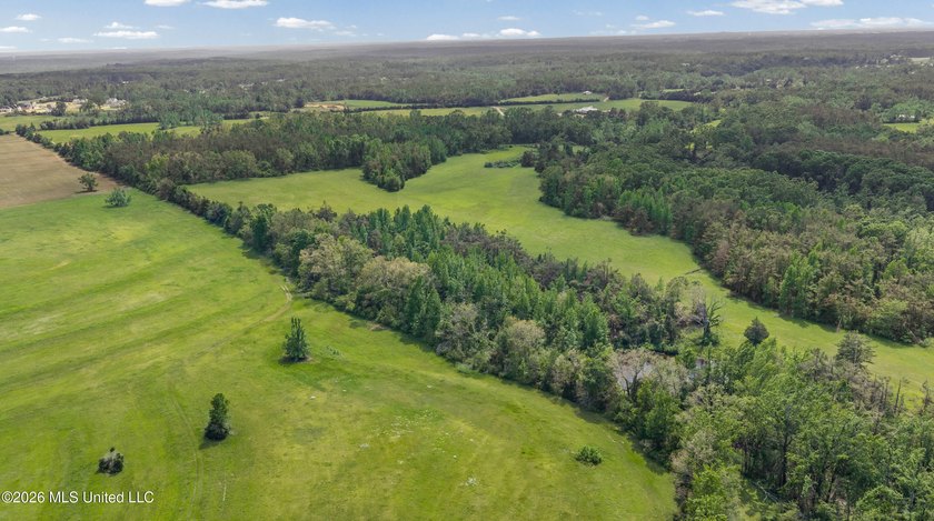 Discover an exceptional 169.9+/- acre tract just minutes from - photo 28