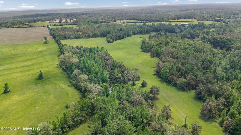 Discover an exceptional 169.9+/- acre tract just minutes from - photo 29