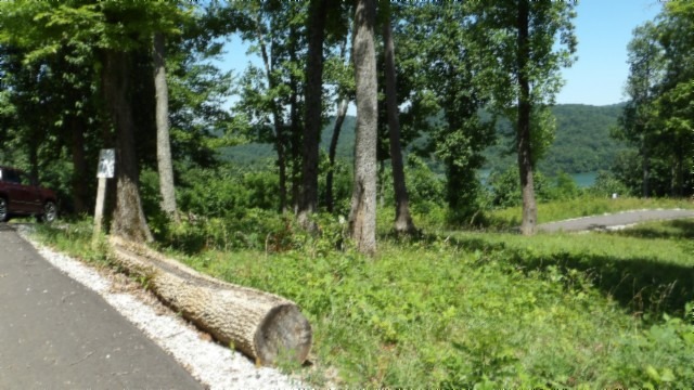 0.93 AC YEAR AROUND DALE HOLLOW LAKE VIEW - photo 7