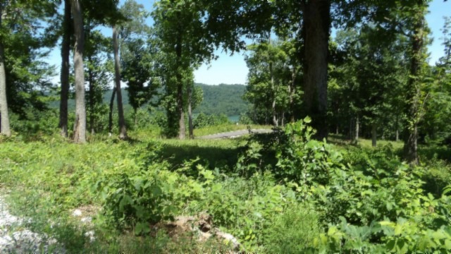 0.93 AC YEAR AROUND DALE HOLLOW LAKE VIEW - photo 4