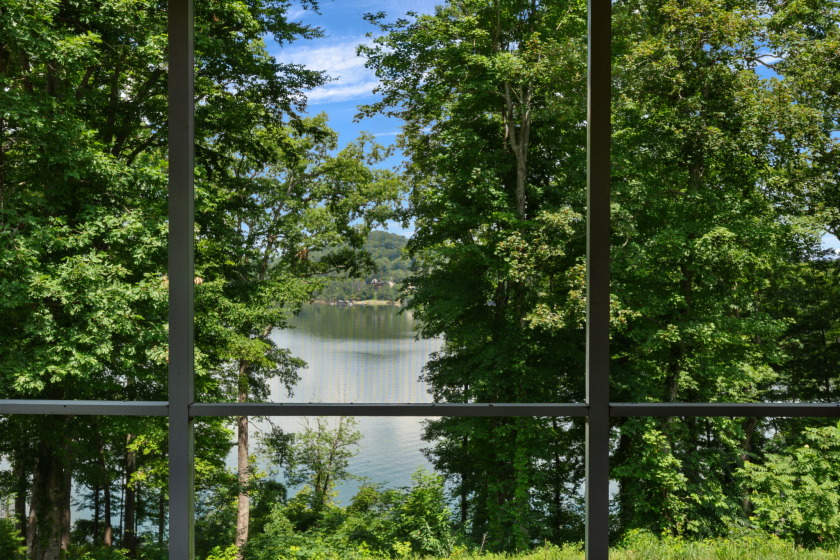 Waterfront Living With Incredible Lake Views - photo 11