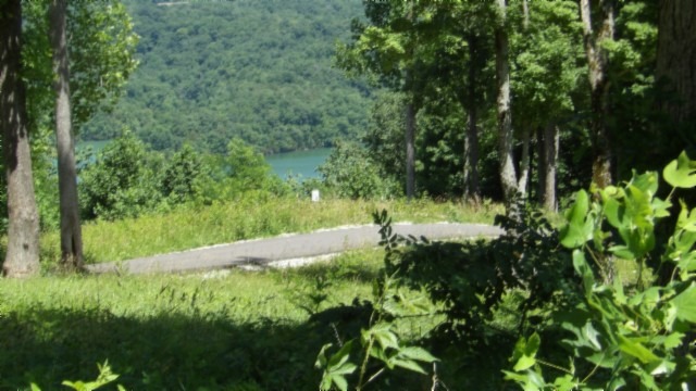 0.93 AC YEAR AROUND DALE HOLLOW LAKE VIEW - photo 3