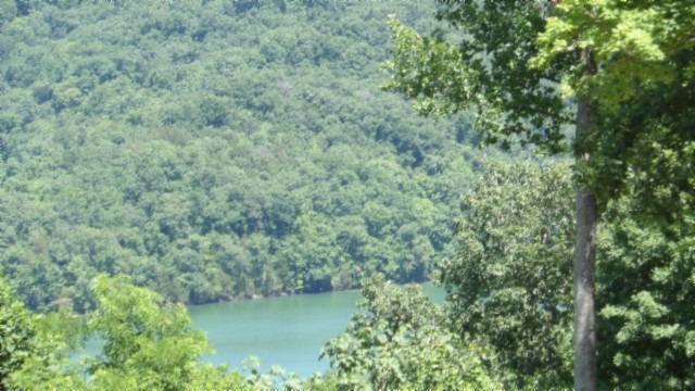 0.93 AC YEAR AROUND DALE HOLLOW LAKE VIEW - photo 6