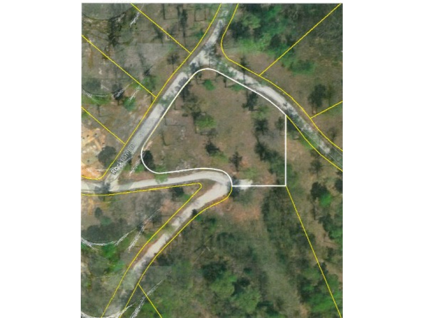 0.93 AC YEAR AROUND DALE HOLLOW LAKE VIEW - photo 10