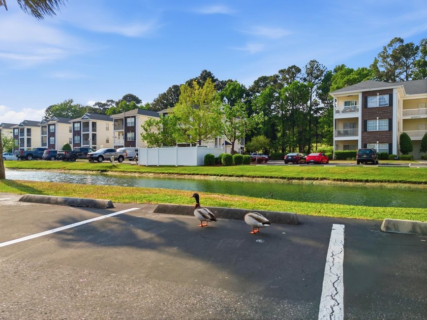 Coastal Condo Near Golf &amp; Beach | Investor Friendly Looking for - photo 27