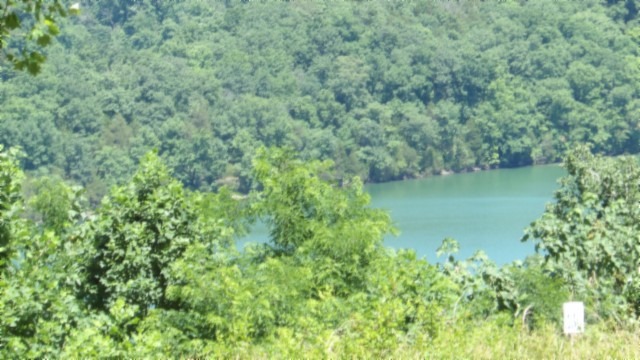 0.93 AC YEAR AROUND DALE HOLLOW LAKE VIEW - photo 5