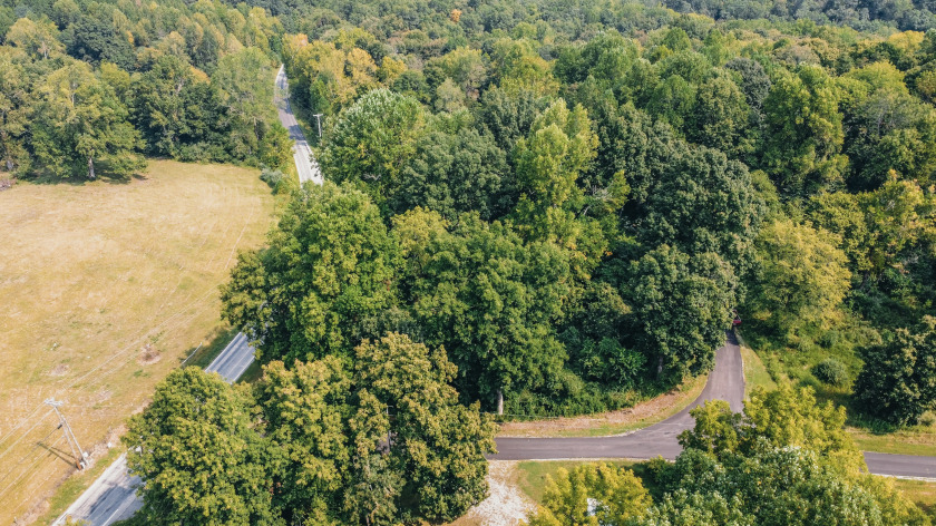 1350 Lake Of The Woods Loop - photo 8