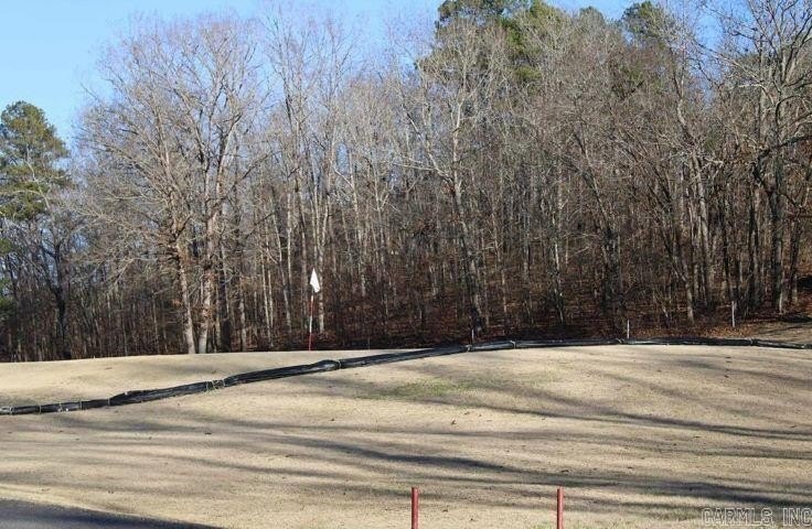 Developers!! Larger Golf Course ready to be built on Lot located - photo 3