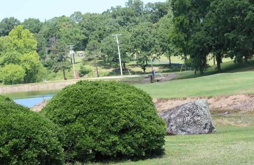 Developers!! Larger Golf Course ready to be built on Lot located - photo 4