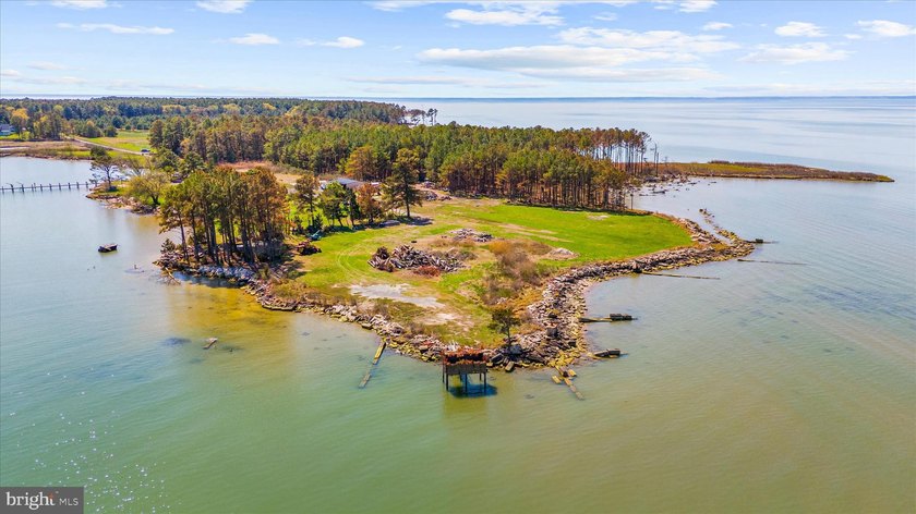 Spectacular Waterfront Peninsula - 21.87 Acres in Dorchester - photo 8