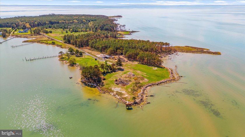 Spectacular Waterfront Peninsula - 21.87 Acres in Dorchester - photo 10