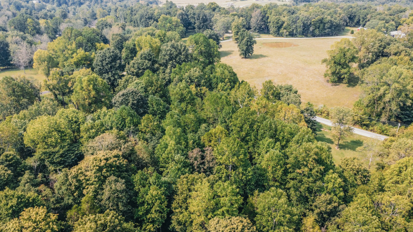1350 Lake Of The Woods Loop - photo 4