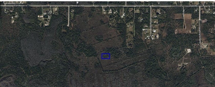 An opportunity to own 1.4 acres of undeveloped land in - photo 4