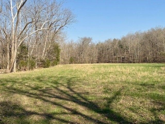 262+/- acre &amp; country home for sale with long frontage on the - photo 31