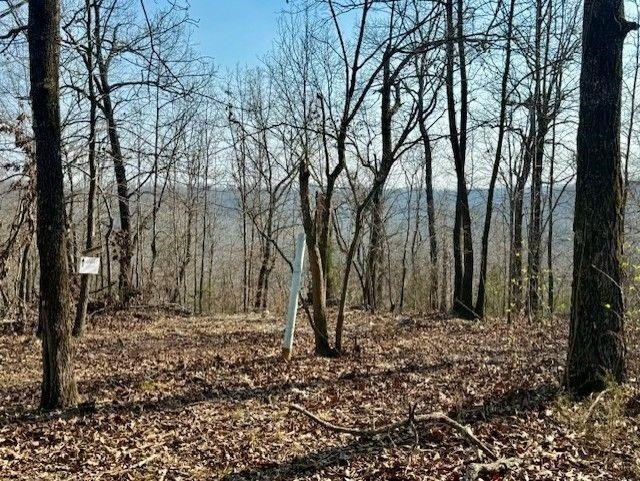 262+/- acre &amp; country home for sale with long frontage on the - photo 32