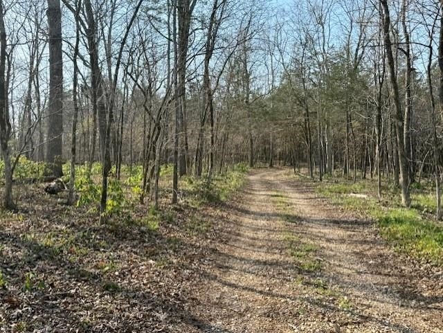 262+/- acre &amp; country home for sale with long frontage on the - photo 36