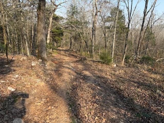 262+/- acre &amp; country home for sale with long frontage on the - photo 37