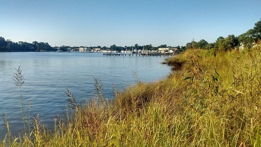 Lot in the City of Georgetown. Minutes from downtown restaurants - photo 3