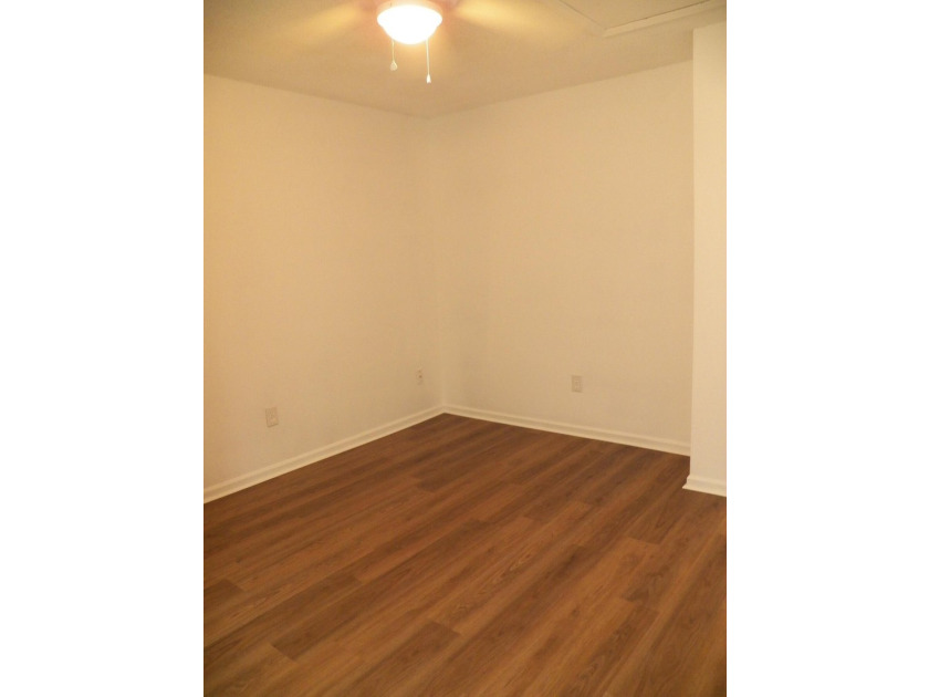 Newly Renovated! New Paint, New LVP Flooring, New ceiling fans - photo 11
