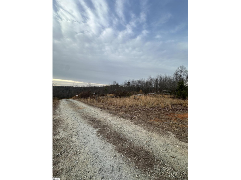 Beautiful 3.25 acre homesite offering privacy and space to build - photo 13