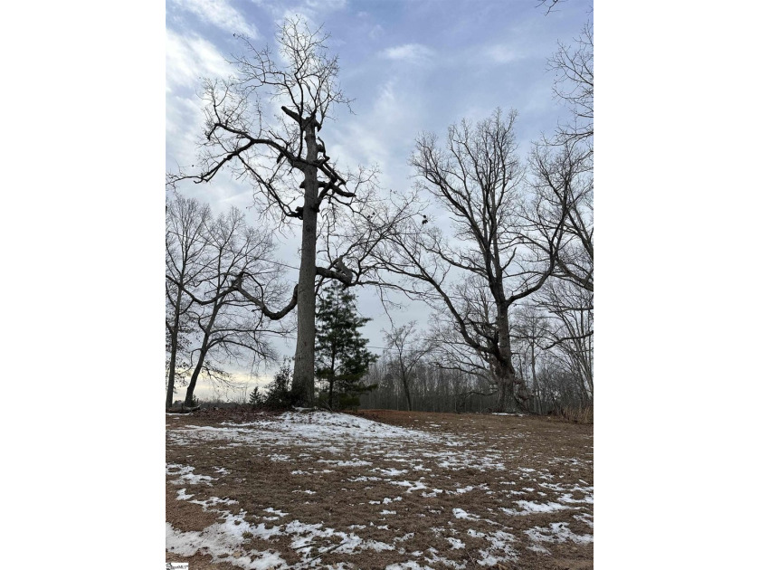 Beautiful 3.25 acre homesite offering privacy and space to build - photo 19