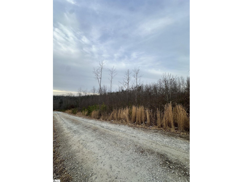 Beautiful 3.25 acre homesite offering privacy and space to build - photo 20