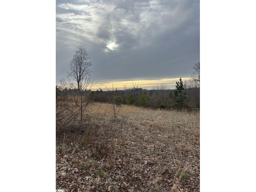 Beautiful 3.25 acre homesite offering privacy and space to build - photo 21
