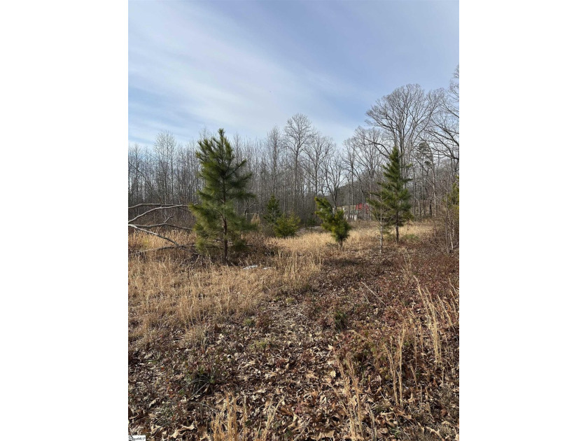 Beautiful 3.25 acre homesite offering privacy and space to build - photo 24