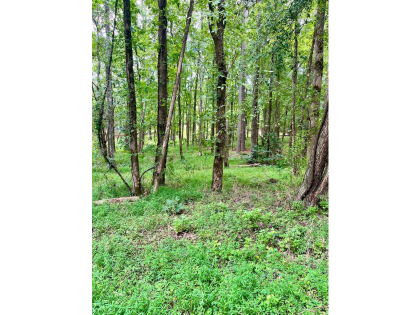 Welcome to your dream waterfront retreat on Lake Greenwood, SC! - photo 14