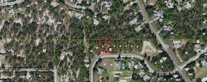 Premium homesite in Southern Woods at Sugarmill Woods - photo 4