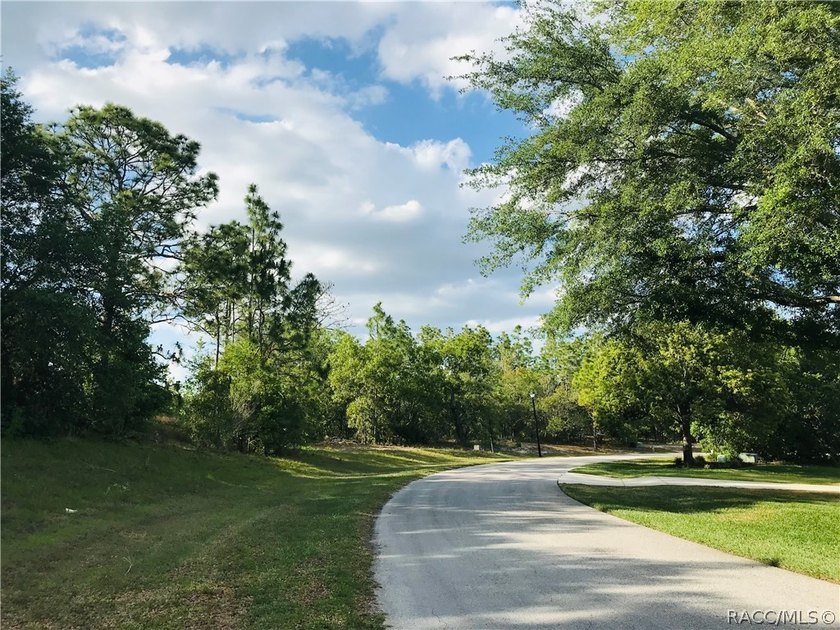 Premium homesite in Southern Woods at Sugarmill Woods - photo 5