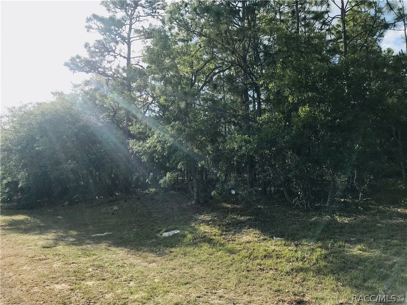 Premium homesite in Southern Woods at Sugarmill Woods - photo 6