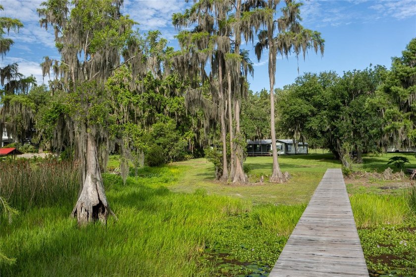 Under contract-accepting backup offers. Some homes check the - photo 47
