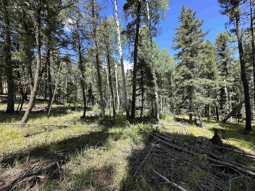 Close proximity to Monte Verde Lake. This mountain lot has all - photo 3