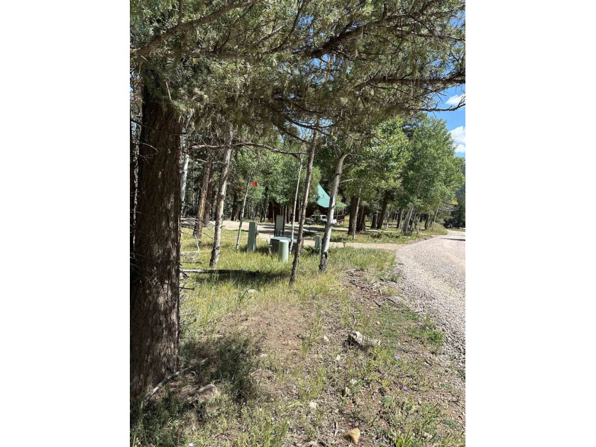 Close proximity to Monte Verde Lake. This mountain lot has all - photo 4
